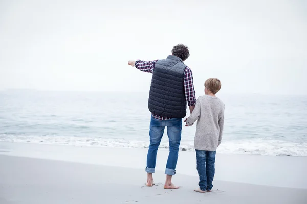 Father pointing while standing