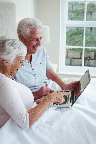 Happy retired couple with laptop