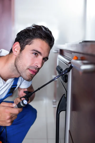 Man spraying insecticide on oven