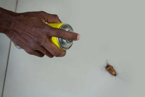 Hand spraying pesticide on cockroach