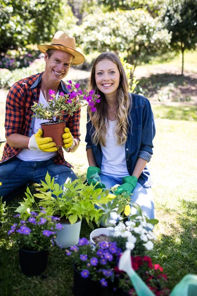 Couple gardening in park