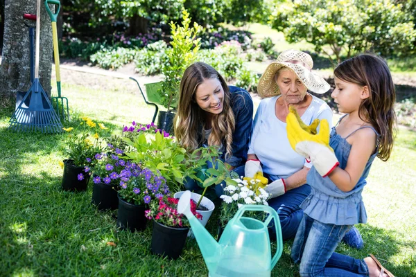 Family gardening in park