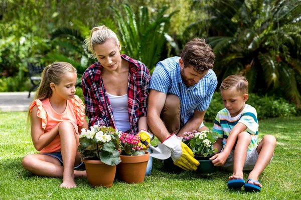 Family gardening with flower pots