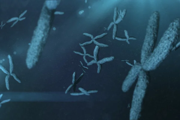 View of chromosomes on blue