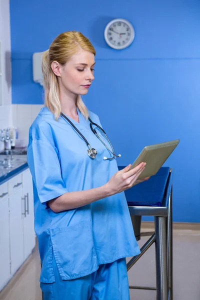 A woman vet looking her tablet computer