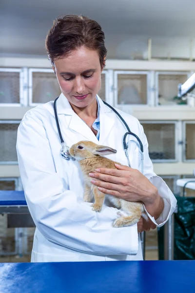 A smiling vet looking at a rabbit