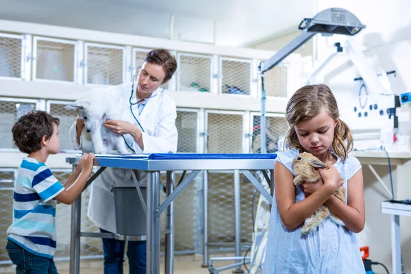 A little girl bringing a rabbit while woman vet is examining