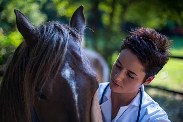 Portrait of woman vet examining a horse