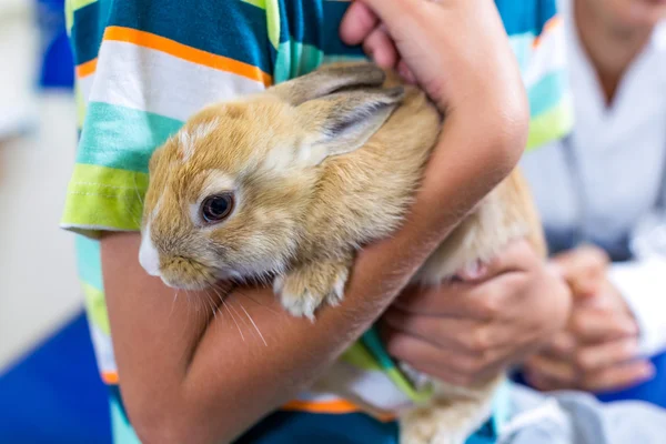 Close up on a rabbit in little owners arms