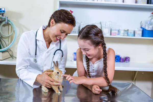 Woman vet and little girl smiling and stroking a rabbit