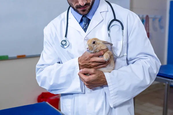 A vet man holding a rabbit