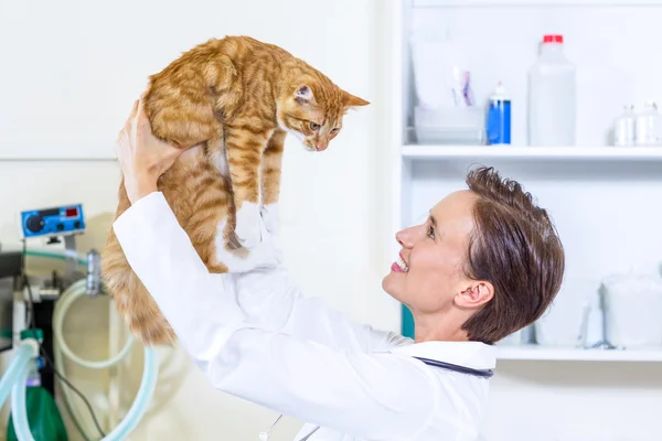 Woman vet smiling and holding a cat