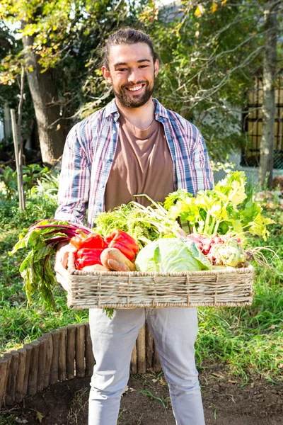 Gardener with vegetables in basket