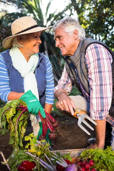 Happy couple gardening at botanical farm