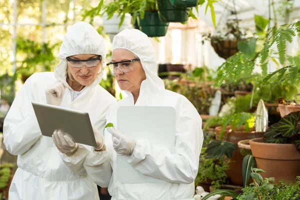 Scientists discussing over tablet