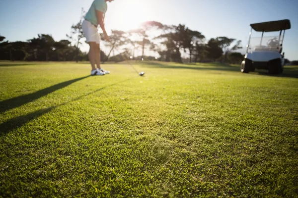 Male golfer standing on field