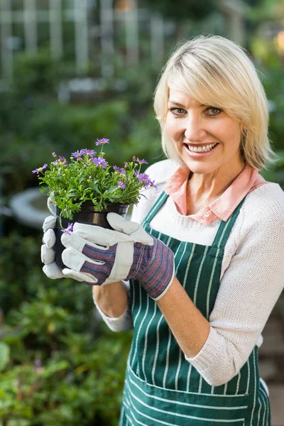 Gardener holding potted flowers