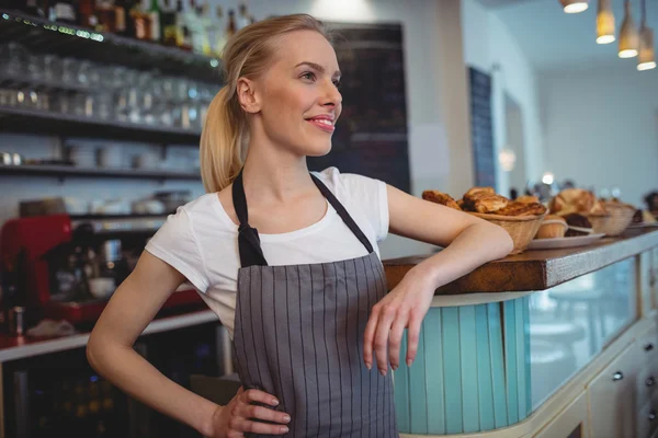 Barista standing at counter in coffee shop