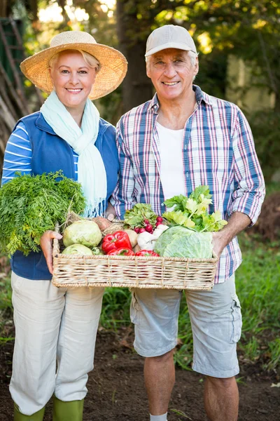 Couple with fresh vegetables at garden