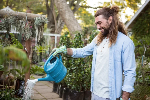 Gardener watering plants at community garden