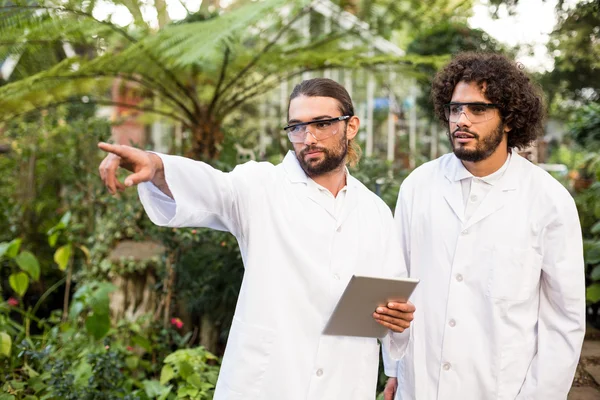 Male scientist pointing while standing by coworker