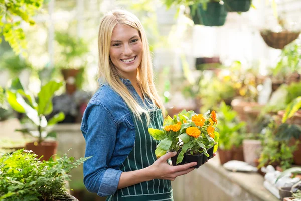 Beautiful gardener holding potted flowers