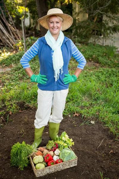 Gardener with vegetables crate at garden