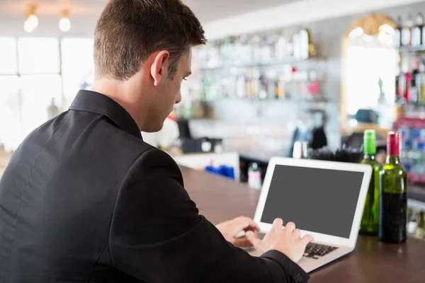 Businessman using laptop in restaurant