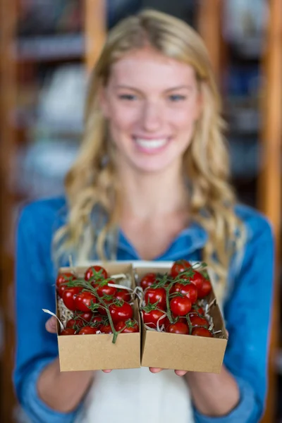 Female staff holding box of cherry tomato