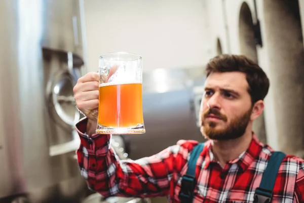 Manufacturer examining beer in jug at brewery