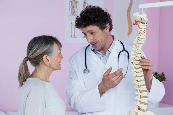 Physiotherapist explaining the spine model to patient