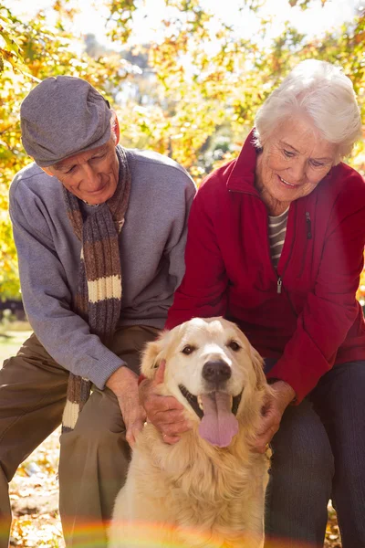 Elderly couple with their pet dog