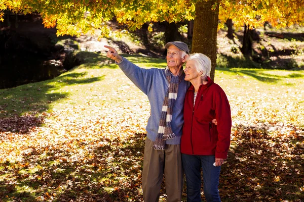 Senior man showing something to wife