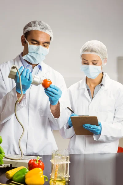 Food scientist using device on tomato