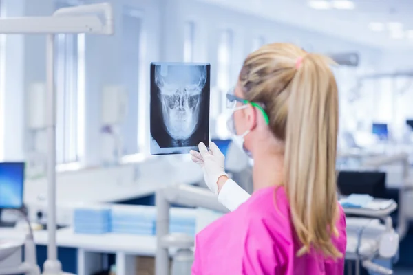 Dentist in pink scrubs examining x-ray