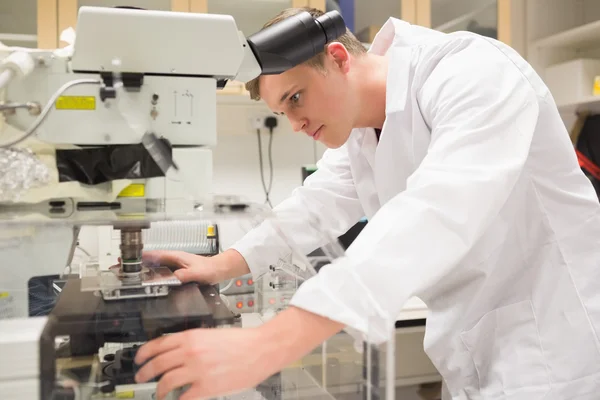 Young scientist working with microscope