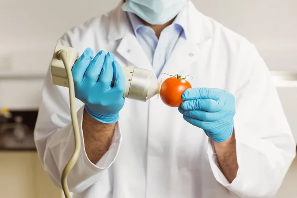 Food scientist using device on tomato