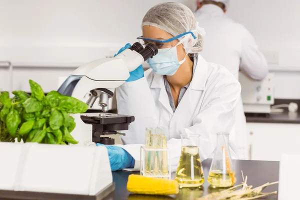 Food scientist using the microscope