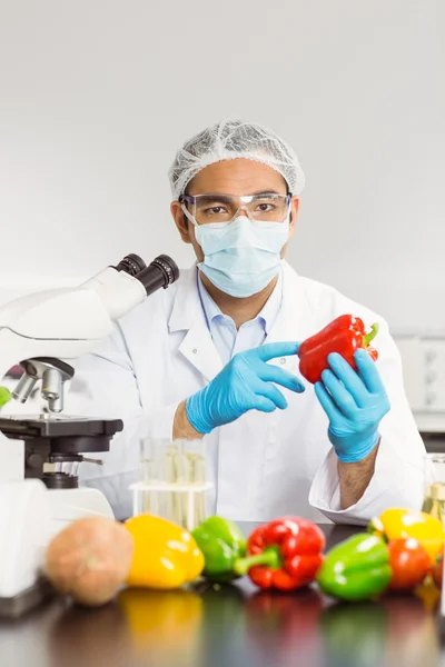 Food scientist examining a pepper