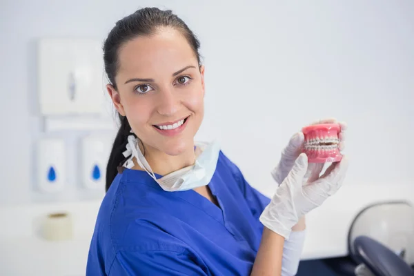 Smiling dentist showing a model