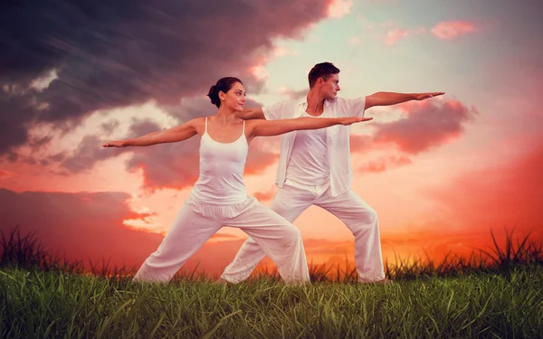 Couple doing yoga together in warrior position