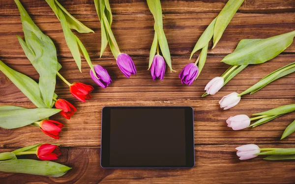 Tulips forming frame around tablet