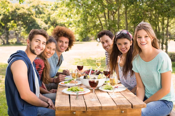 Happy friends in the park having lunch