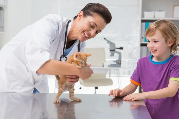 Veterinarian examining cat with its owner