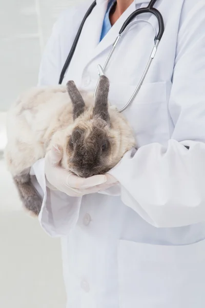 Veterinarian with a rabbit in his arms