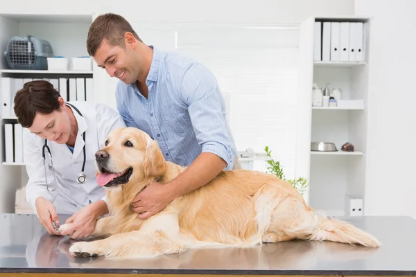 veterinary dog nail clippers