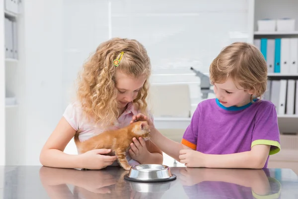 Owners petting their cat eating