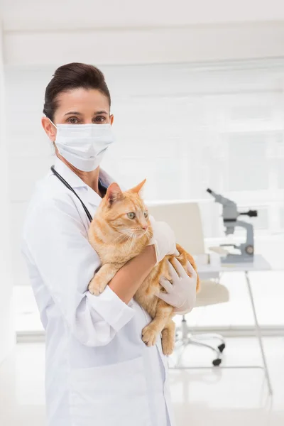 Veterinarian with cat in her arms