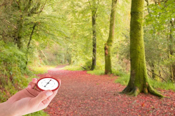 Hand presenting compass against autumn forest
