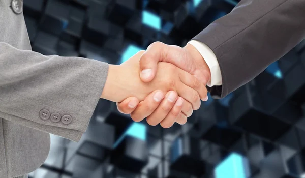 Handshake between two business people